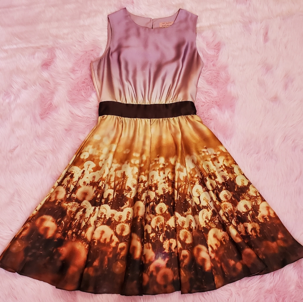 Ted Baker Dress